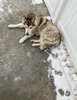 IMG_6917.jpeg
