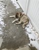 IMG_6916.jpeg