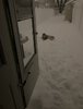IMG_6913.jpeg