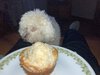 IMG_6833.jpeg