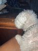 IMG_6821.jpeg