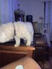 IMG_6817.jpeg