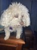 IMG_6816.jpeg