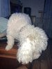 IMG_6815.jpeg