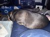 IMG_6960.jpeg