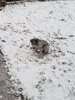 20220128_163439.jpg