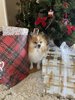 IMG_0763.jpeg