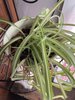IMG_6980.jpeg