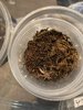 IMG_6990.jpeg