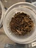 IMG_6989.jpeg