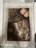 IMG_8728.jpeg
