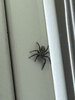 IMG_3830.jpeg