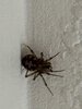 IMG_3823.jpeg