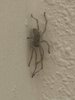 IMG_3818.jpeg