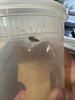 IMG_3867.jpeg