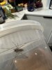 IMG_3870.jpeg