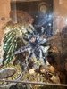 IMG_6359.jpeg