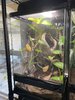 IMG_7899.jpeg