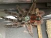 IMG_4965.jpeg