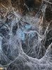 IMG_3115.jpeg IMG_3115.jpeg