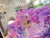IMG_4099.jpeg