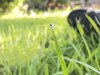 IMG_4034.jpeg