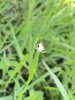IMG_4033.jpeg