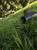 IMG_4062.jpeg
