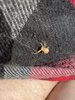 IMG_3986.jpeg