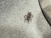IMG_3961.jpeg
