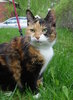 DSC07815 – kopio.JPG