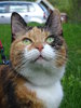 DSC07816 – kopio.JPG