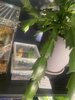 IMG_1943.jpeg IMG_1943.jpeg
