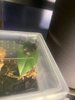 IMG_1942.jpeg IMG_1942.jpeg