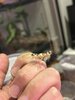 IMG_9378.jpeg