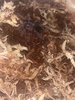 IMG_9542.jpeg