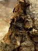 IMG_7144.jpeg
