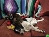 IMG_7178.jpeg
