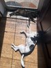 IMG_9274.jpeg