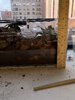IMG_0318.jpeg