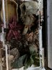 IMG_0319.jpeg