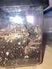 IMG_7243.jpeg
