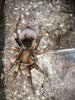IMG_6660.jpeg