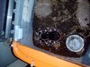 IMG_20250601_080441.jpg