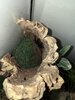 IMG_0159.jpeg