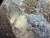 IMG_8702.jpeg