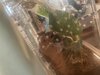 IMG_2405.jpeg