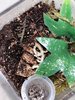 IMG_9582.jpeg