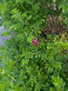PXL_20250604_115041600.jpg