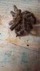 IMG-20250606-WA0014.jpeg